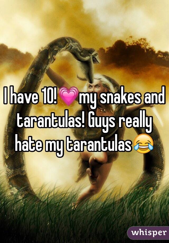 I have 10!💗my snakes and tarantulas! Guys really hate my tarantulas😂