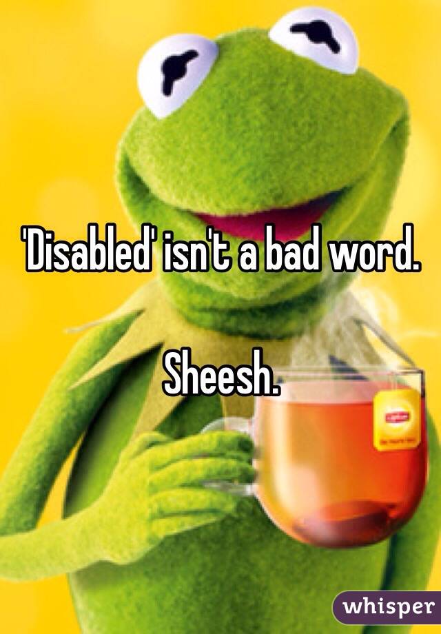 'Disabled' isn't a bad word. 

Sheesh. 