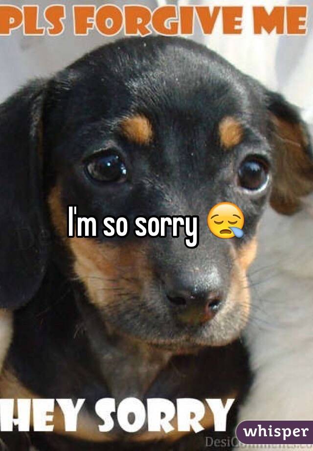I'm so sorry 😪