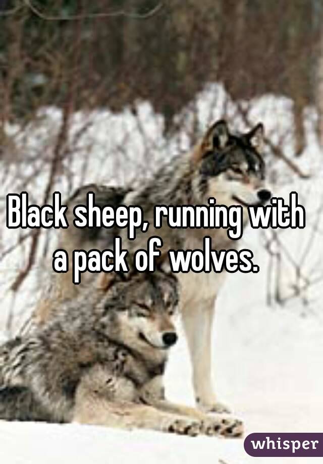 Black sheep, running with a pack of wolves. 