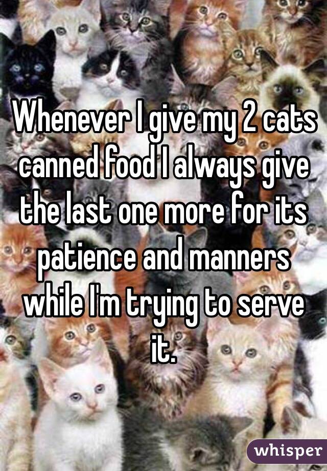 Whenever I give my 2 cats canned food I always give the last one more for its patience and manners while I'm trying to serve it. 
