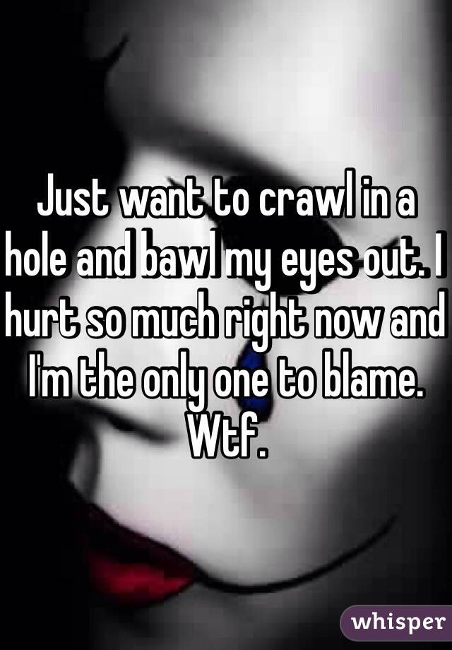Just want to crawl in a hole and bawl my eyes out. I hurt so much right now and I'm the only one to blame. Wtf. 