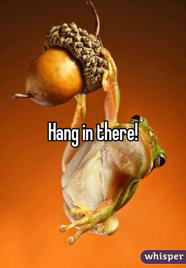 hang-in-there