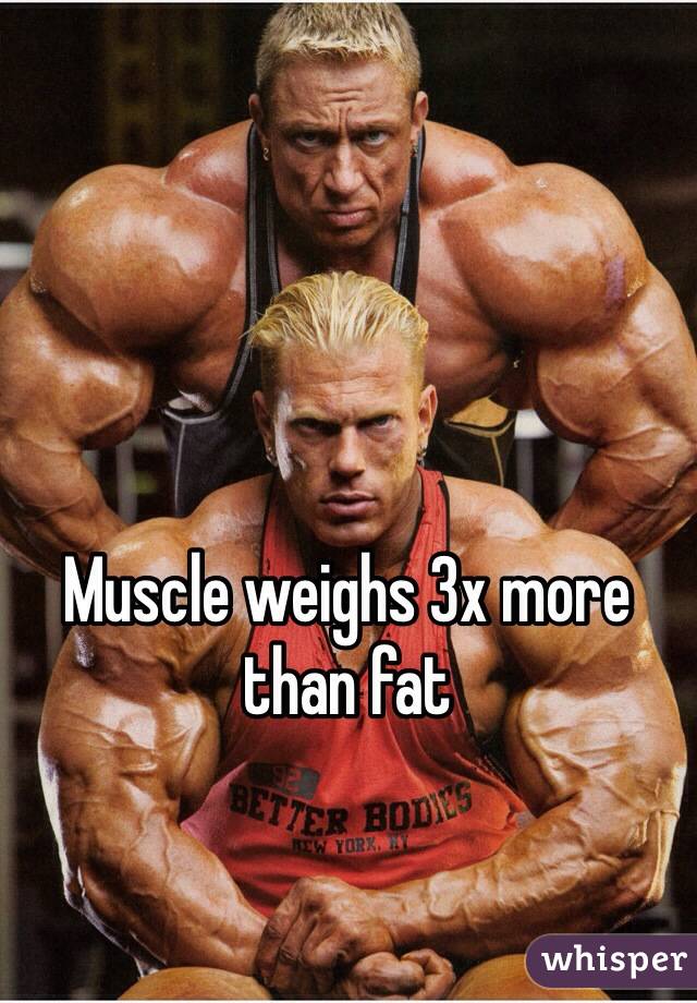 muscle-weighs-3x-more-than-fat