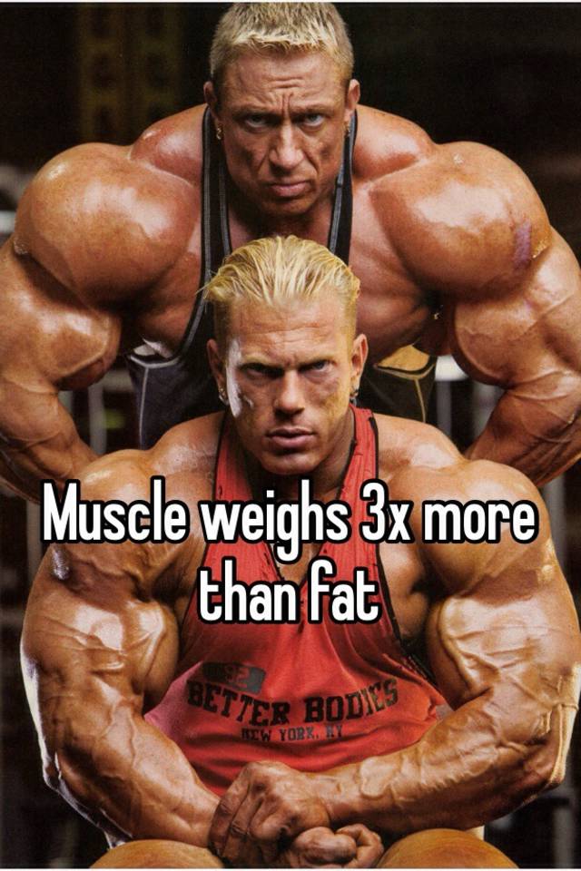 muscle-weighs-3x-more-than-fat