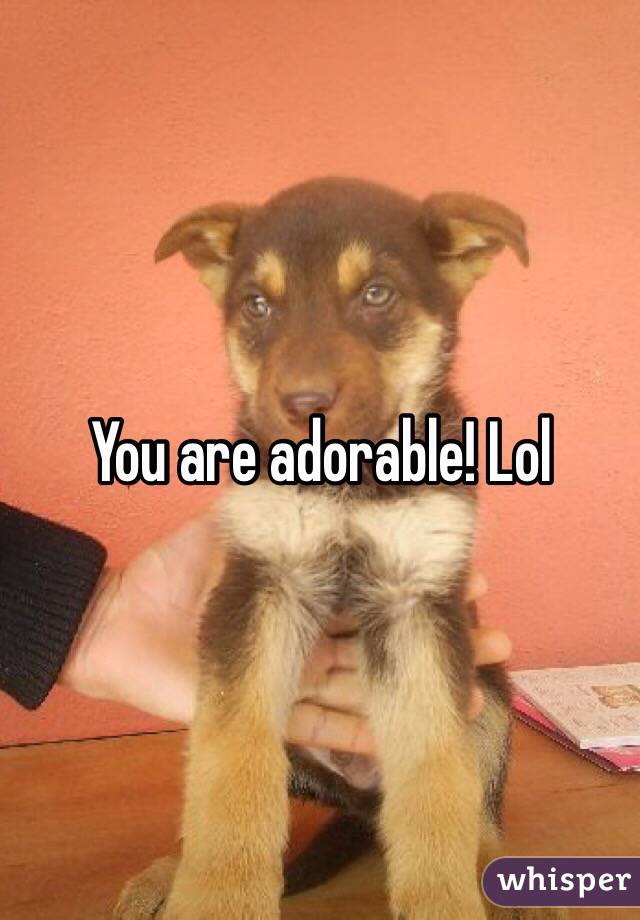 You are adorable! Lol