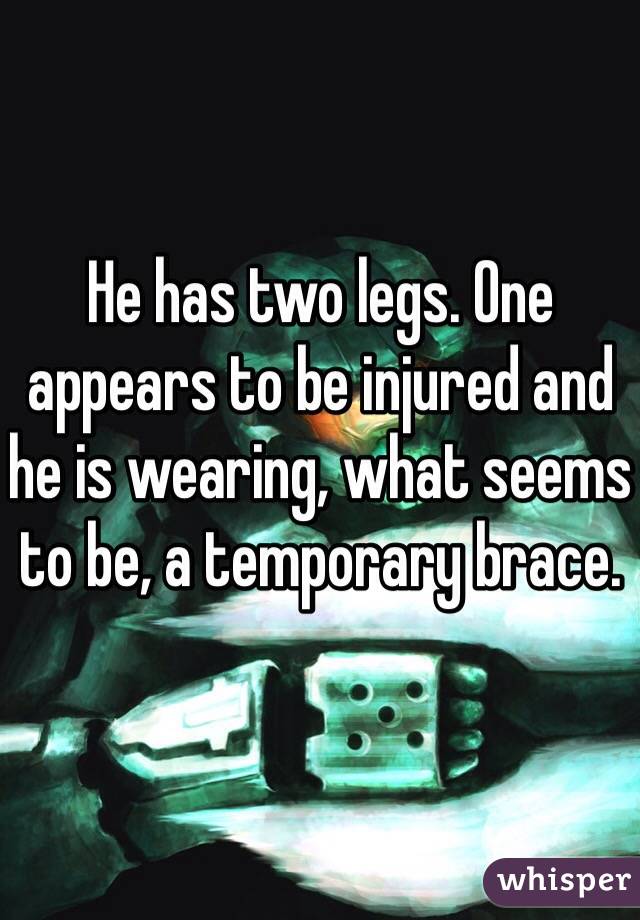 He has two legs. One appears to be injured and he is wearing, what seems to be, a temporary brace.