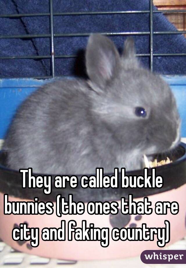 They are called buckle bunnies (the ones that are city and faking country)