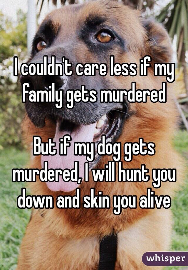 I couldn't care less if my family gets murdered 

But if my dog gets murdered, I will hunt you down and skin you alive