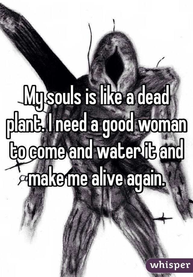 My souls is like a dead plant. I need a good woman to come and water it and make me alive again. 