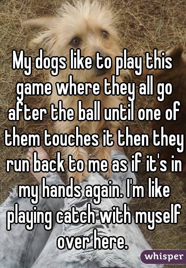 My dogs like to play this game where they all go after the ball until one of them touches it then they run back to me as if it's in my hands again. I'm like playing catch with myself over here. 