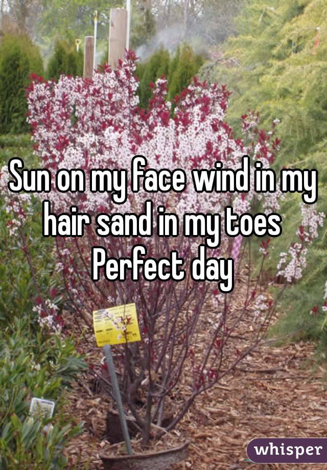 Sun on my face wind in my hair sand in my toes 
Perfect day