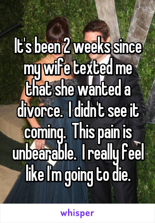 It's been 2 weeks since my wife texted me that she wanted a divorce.  I didn't see it coming.  This pain is unbearable.  I really feel like I'm going to die.