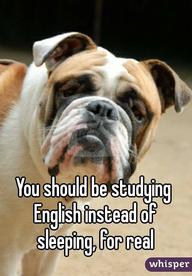 You should be studying English instead of sleeping, for real