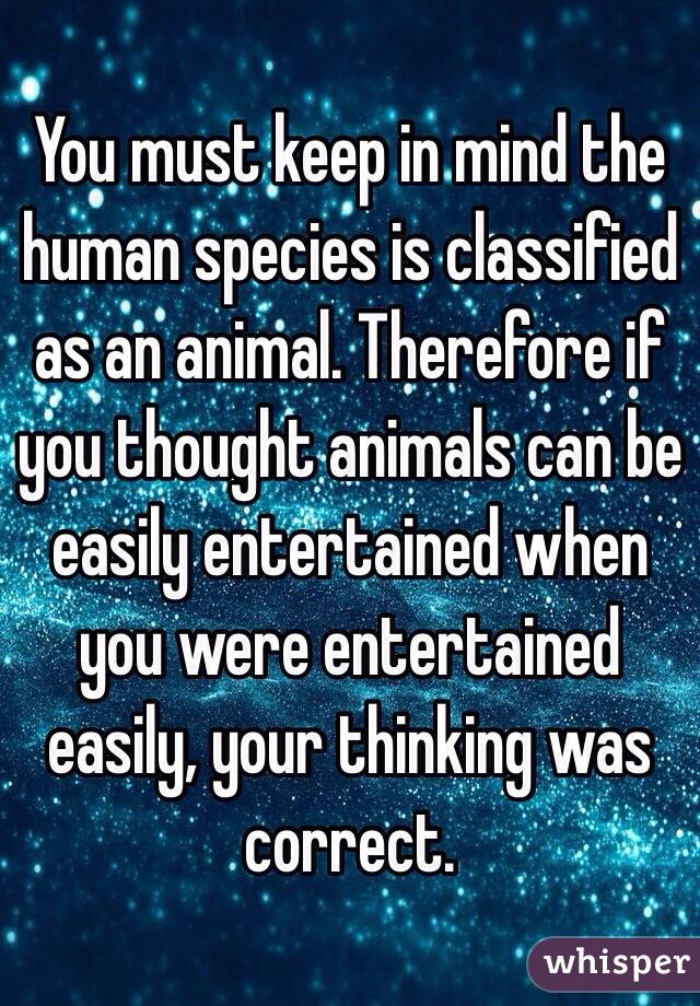 You must keep in mind the human species is classified as an animal. Therefore if you thought animals can be easily entertained when you were entertained easily, your thinking was correct.