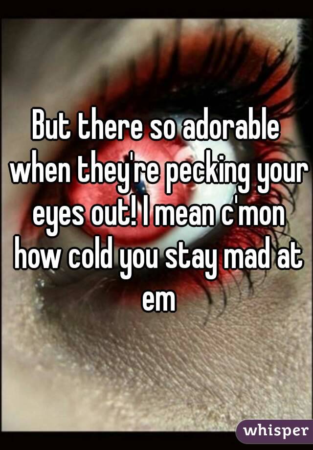 But there so adorable when they're pecking your eyes out! I mean c'mon how cold you stay mad at em