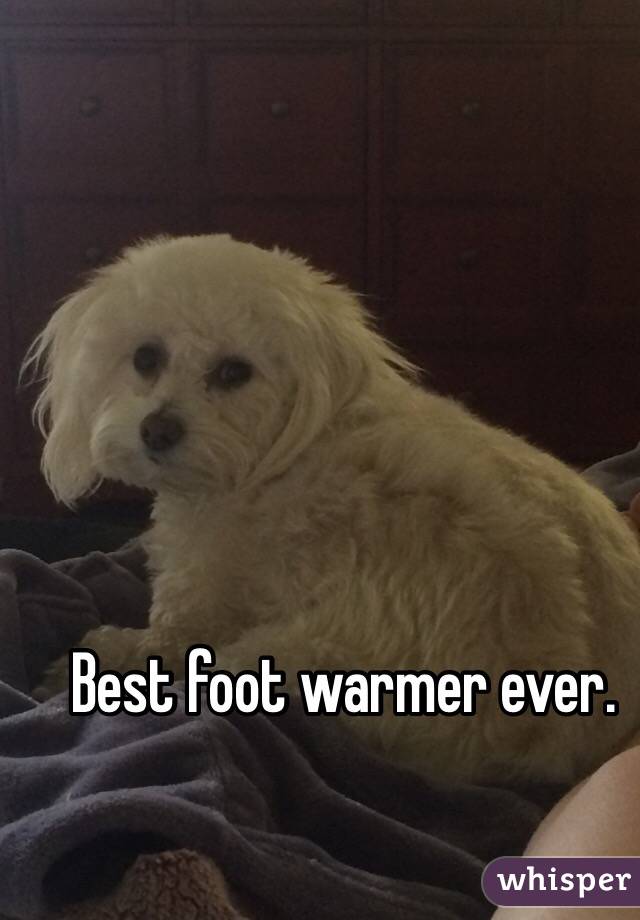 Best foot warmer ever.
