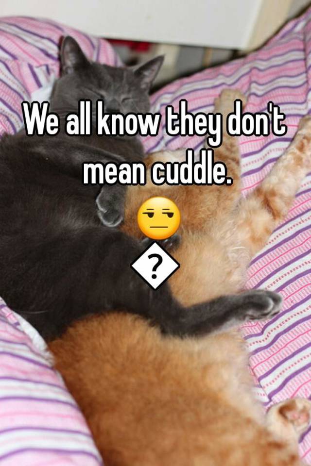 We all know they don't mean cuddle. 😒😒