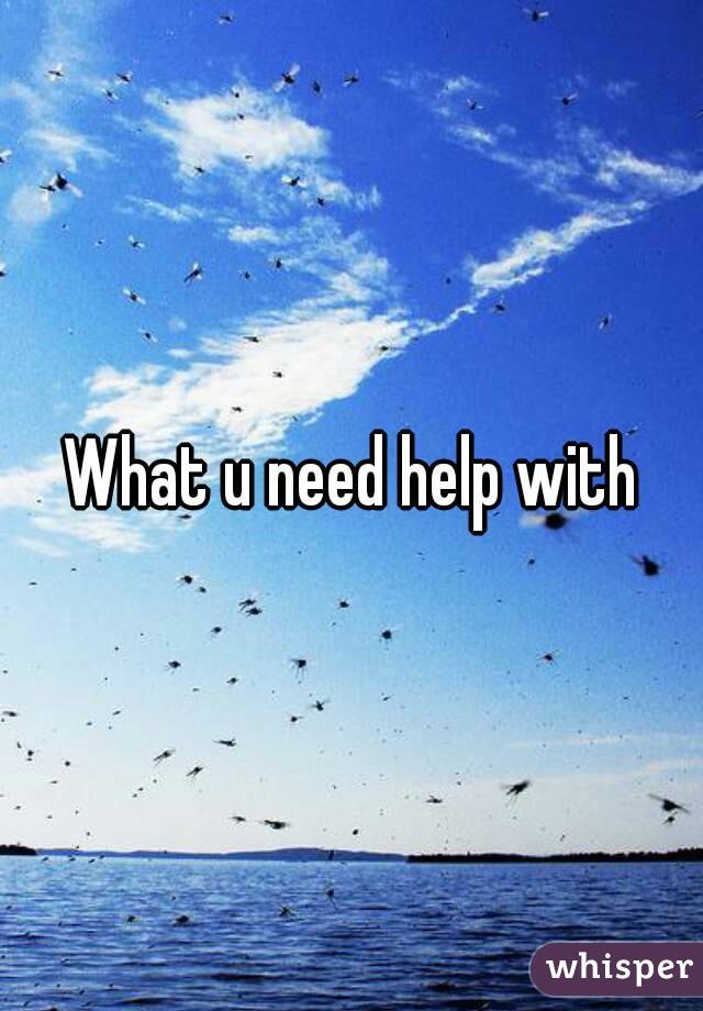What u need help with