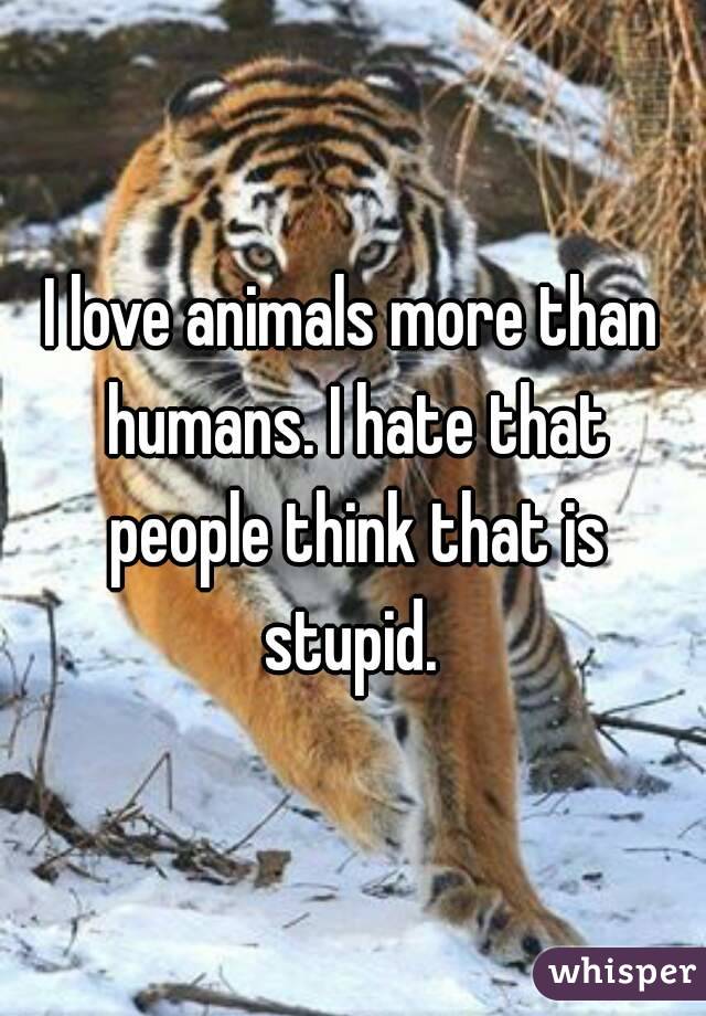 I love animals more than humans. I hate that people think that is stupid.