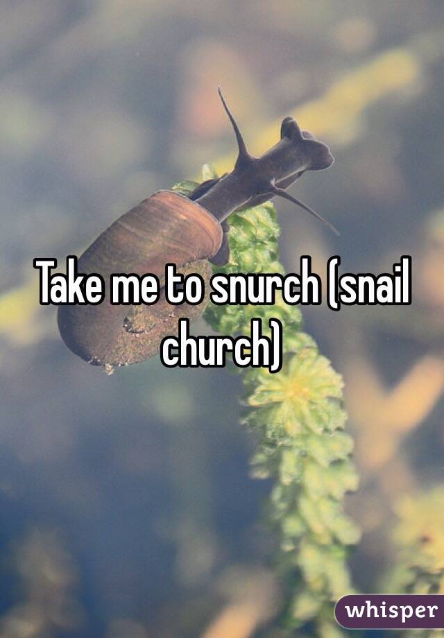 Take me to snurch (snail church)