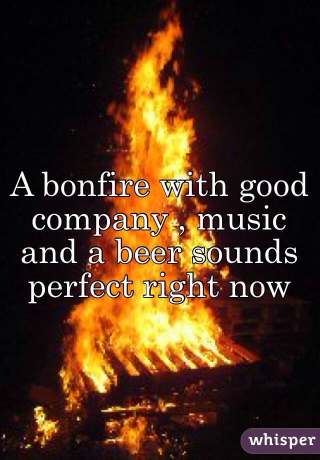 A bonfire with good company , music and a beer sounds perfect right now 