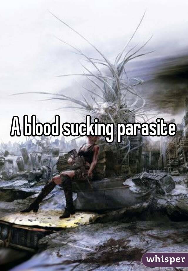 A blood sucking parasite
