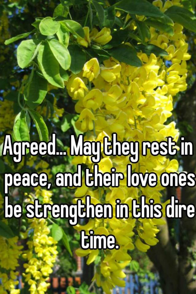 agreed-may-they-rest-in-peace-and-their-love-ones-be-strengthen-in