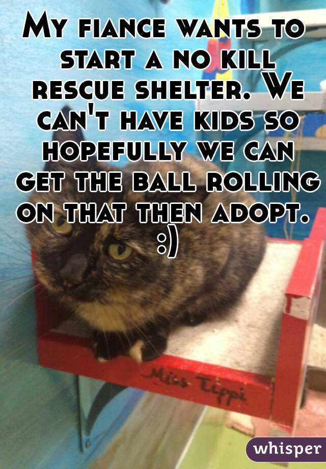 My fiance wants to start a no kill rescue shelter. We can't have kids so hopefully we can get the ball rolling on that then adopt.  :)