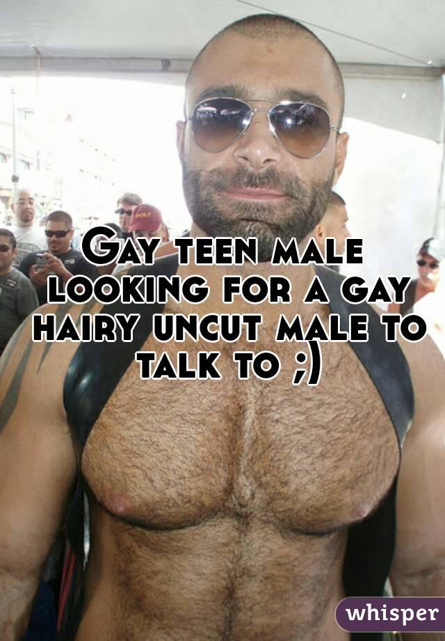 Male Gay Dvd 27