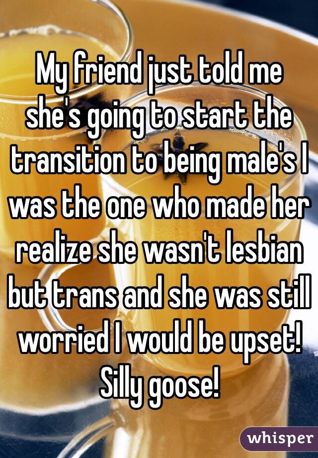 My friend just told me she's going to start the transition to being male's I was the one who made her realize she wasn't lesbian but trans and she was still worried I would be upset! Silly goose!