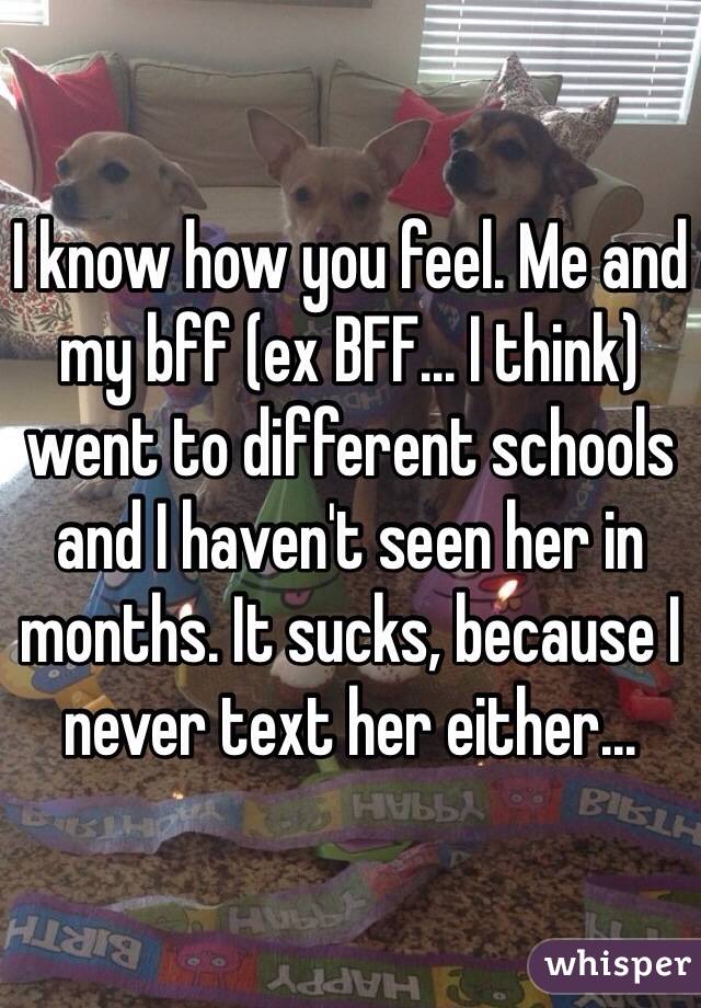 I know how you feel. Me and my bff (ex BFF... I think) went to different schools and I haven't seen her in months. It sucks, because I never text her either...