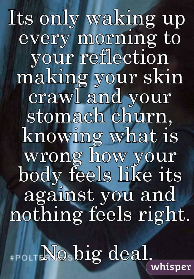 Its only waking up every morning to your reflection making your skin crawl and your stomach churn, knowing what is wrong how your body feels like its against you and nothing feels right.

No big deal.