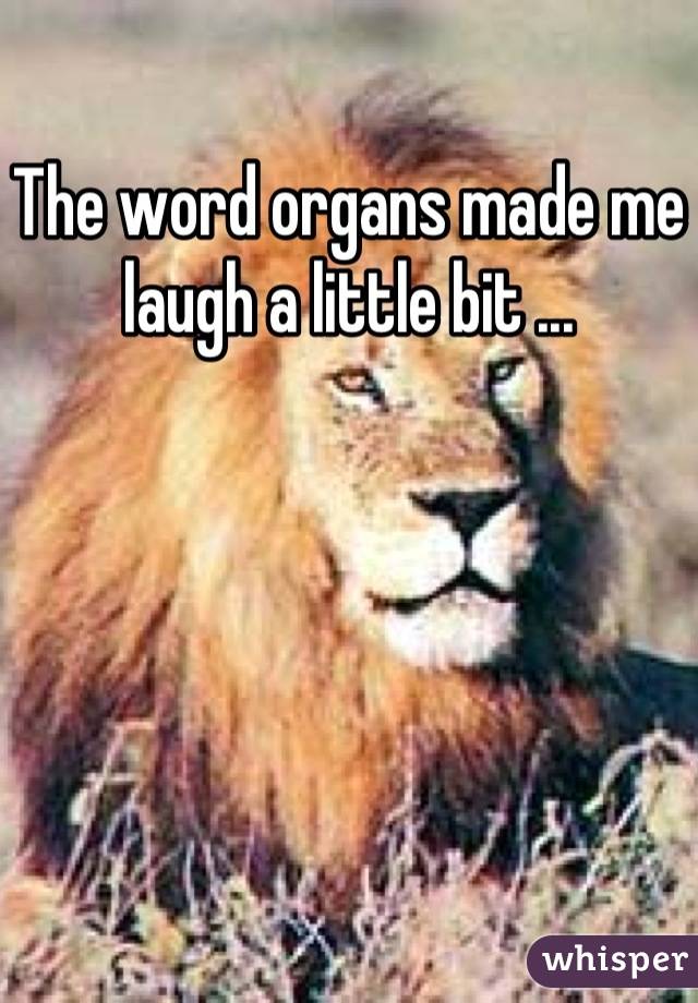The word organs made me laugh a little bit ...