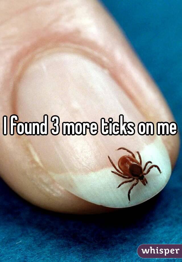 I found 3 more ticks on me