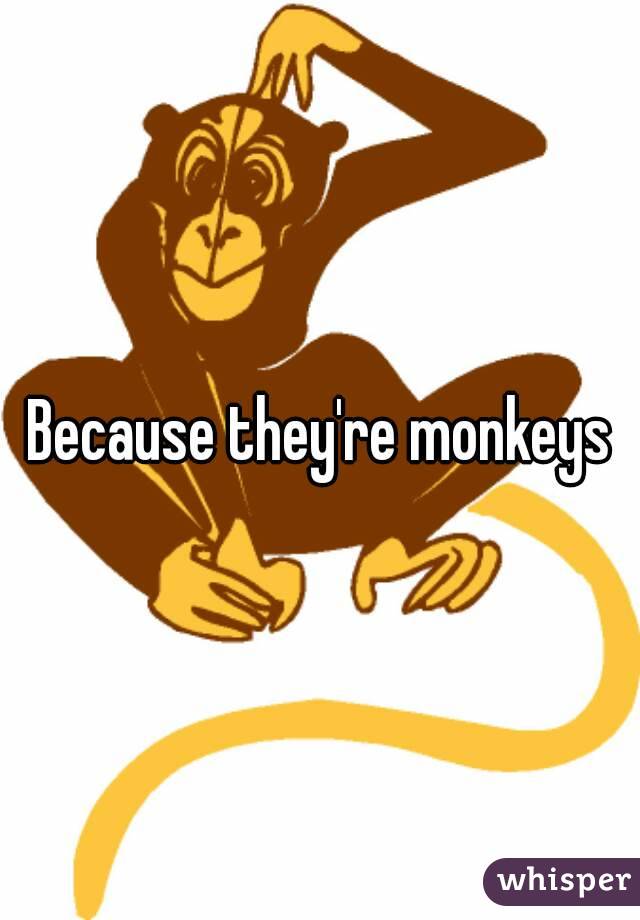 Because they're monkeys