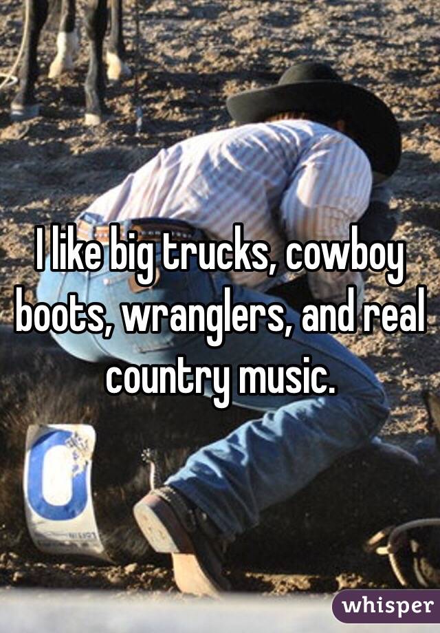 I like big trucks, cowboy boots, wranglers, and real country music. 