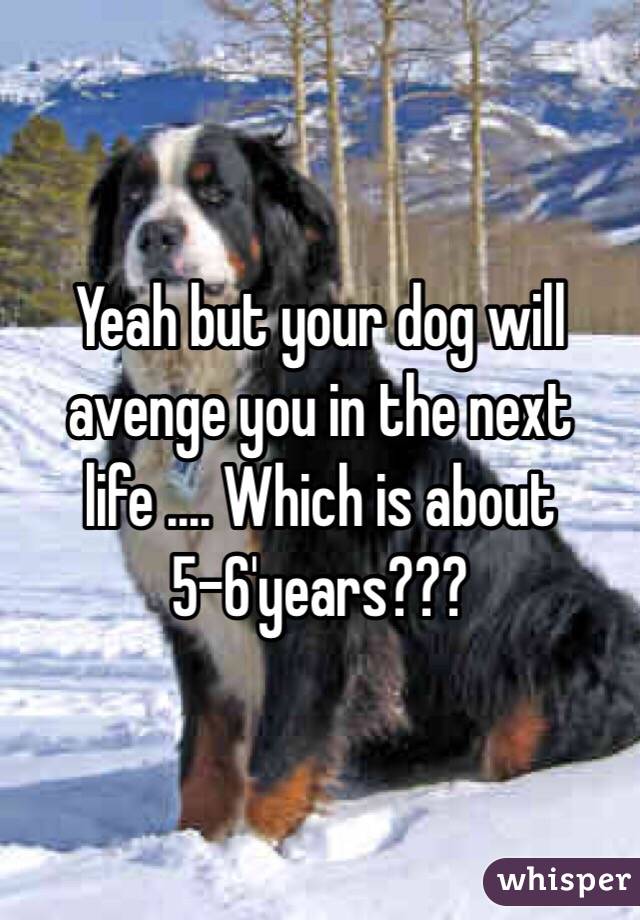 Yeah but your dog will avenge you in the next life .... Which is about 5-6'years???