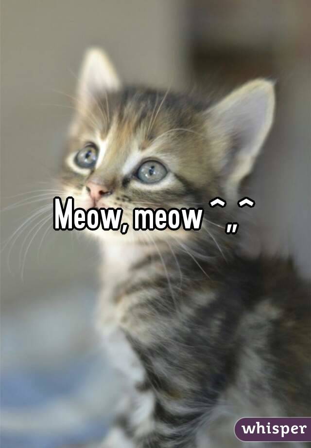 Meow, meow ^„^