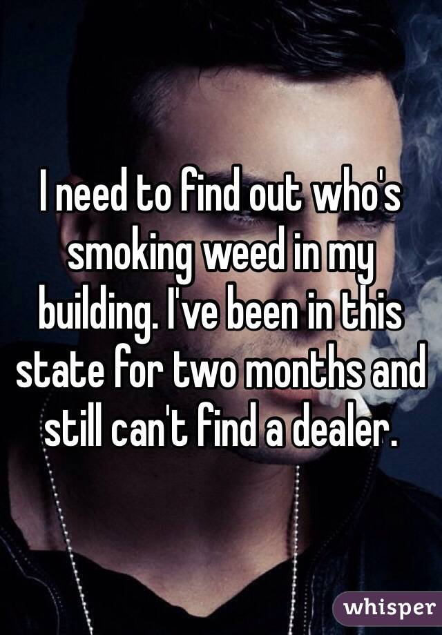 I need to find out who's smoking weed in my building. I've been in this state for two months and still can't find a dealer.