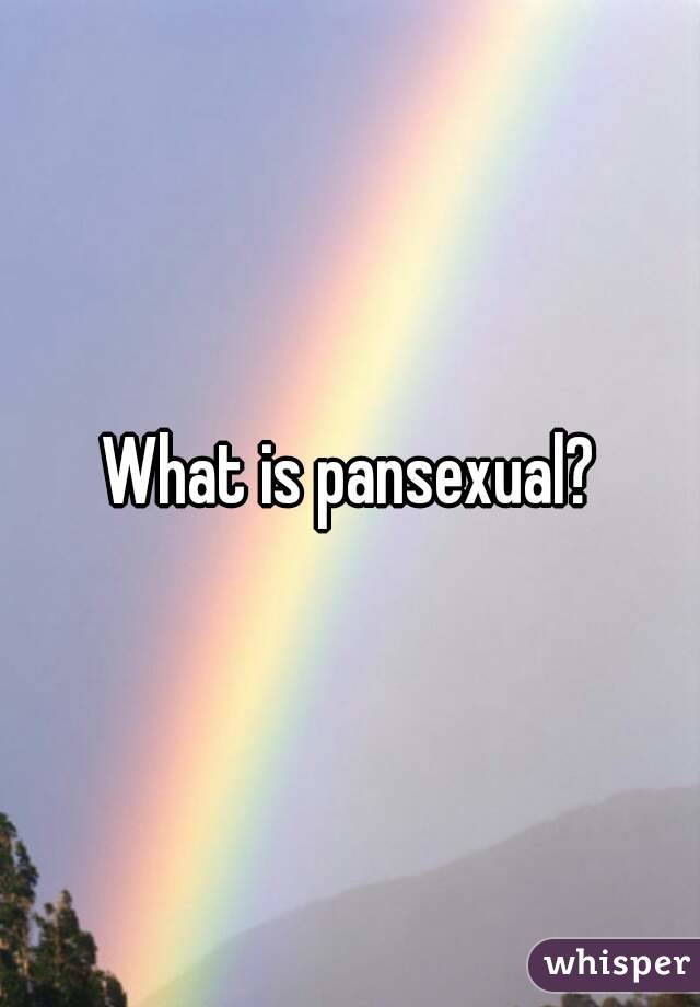 What is pansexual?
