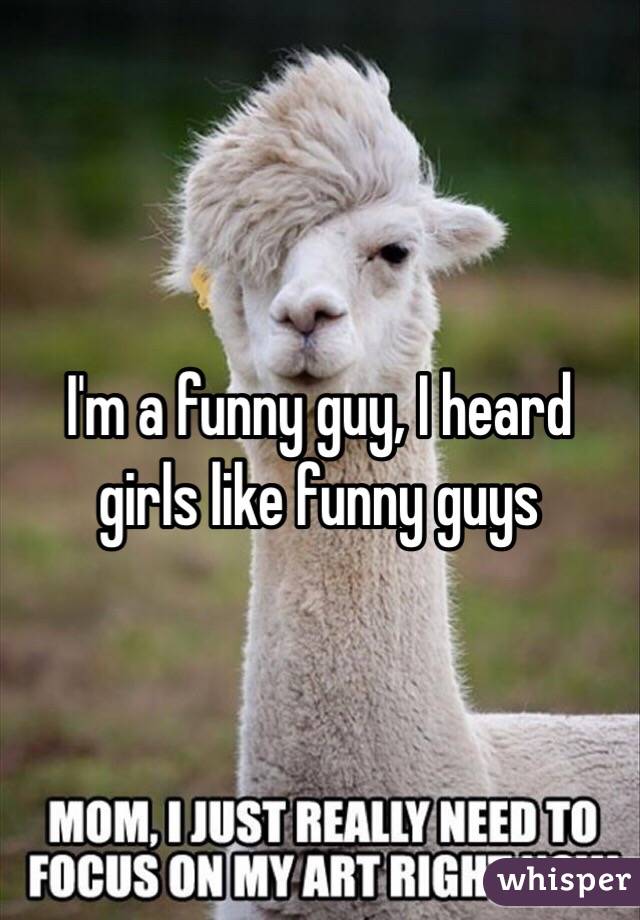 I'm a funny guy, I heard girls like funny guys