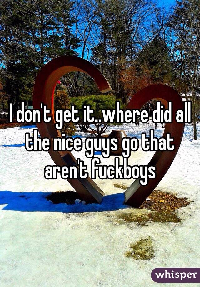 I don't get it..where did all the nice guys go that aren't fuckboys
