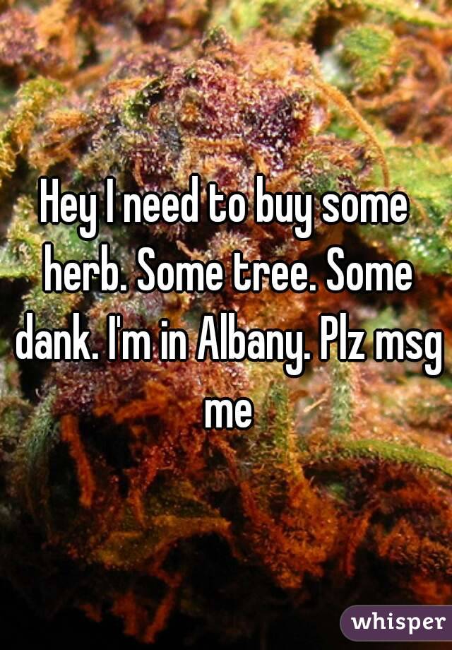 Hey I need to buy some herb. Some tree. Some dank. I'm in Albany. Plz msg me