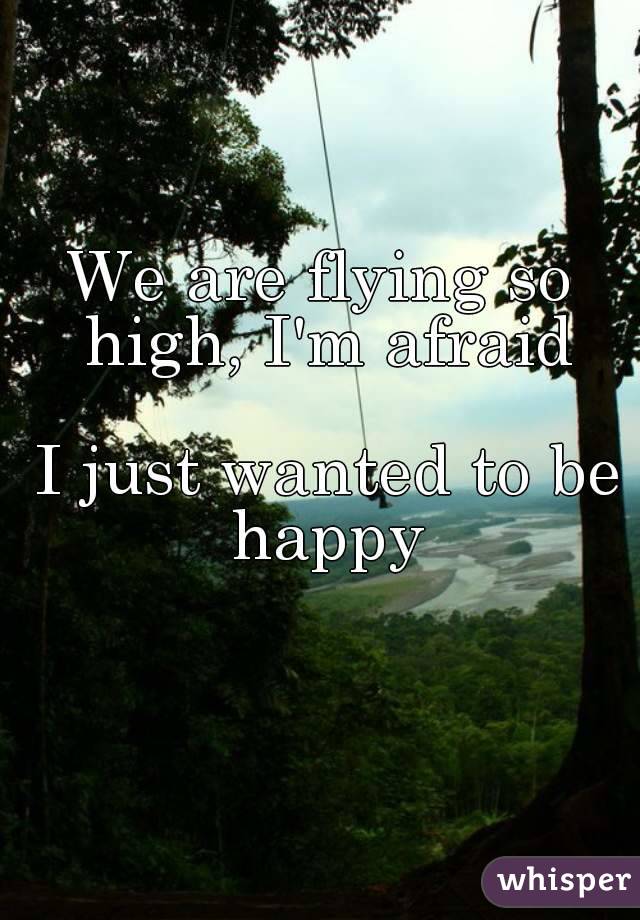 We are flying so high, I'm afraid

 I just wanted to be happy