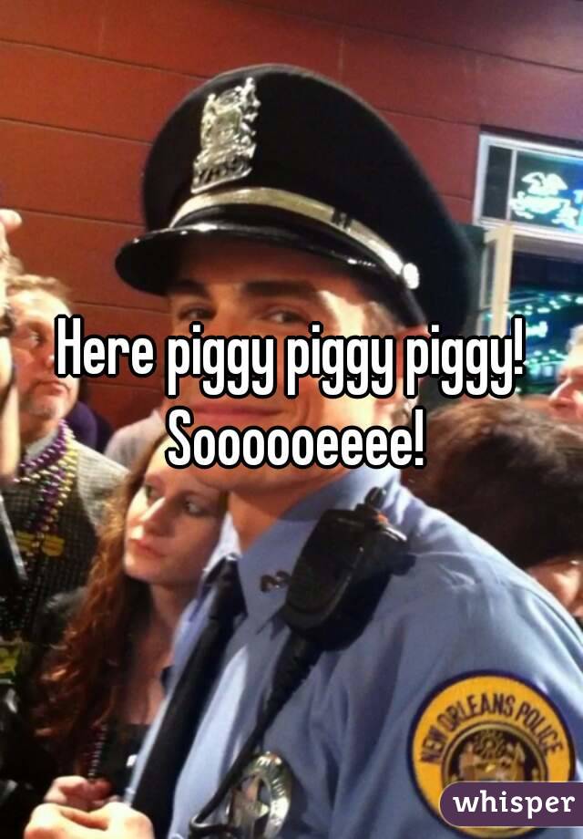 Here piggy piggy piggy! Soooooeeee!