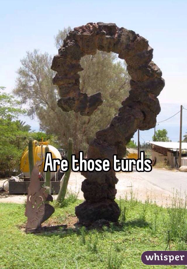 Are those turds 
