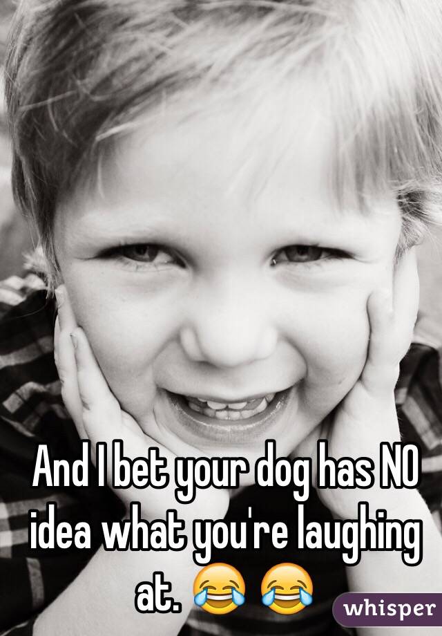 And I bet your dog has NO idea what you're laughing at. 😂 😂