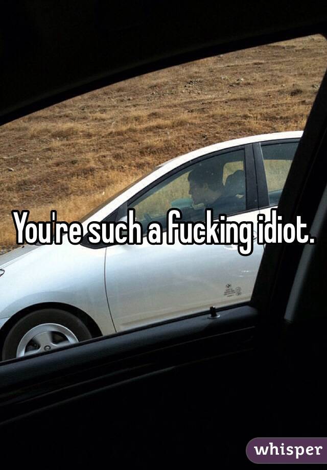 You're such a fucking idiot.