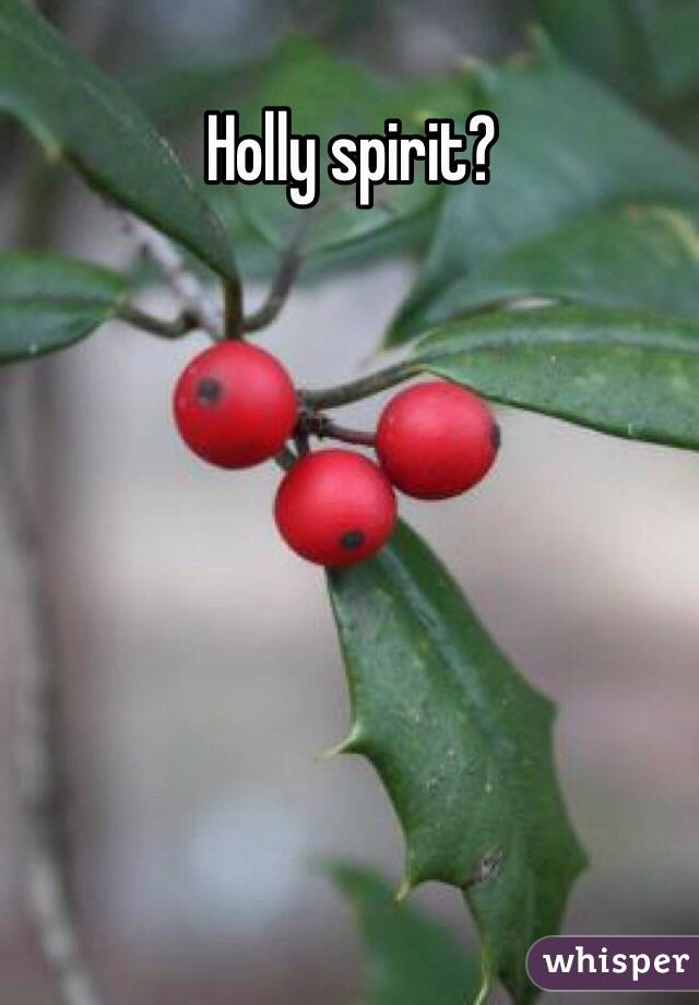 Holly spirit?